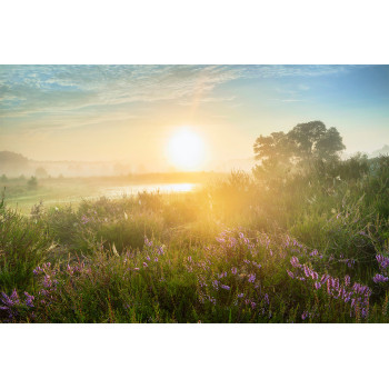 Wanddecoratie © Ruud Engels Photography - Zonsopkomst Kampina (6225.1053)