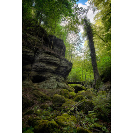 Wanddecoratie © Ruud Engels Photography - Bos in Mullerthal Luxemburg (6225.1057)