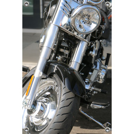 Tuinposter  Motorcycle Harley Davidson Chrome (5035.1004)