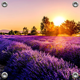 Tuinverruimer-Schuttingposter VIERKANT  - Lavendelveld Sunset (5020.1021VK)