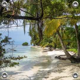 Tuinverruimer-Schuttingposter VIERKANT  - Tropisch Strand met  overhangende Palmbomen (5051.3008VK)