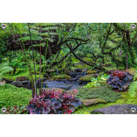 Tuinposter Botanische tuin Jungle stijl (5050.3047)