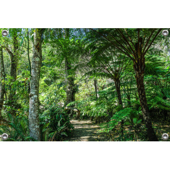 Tuinposter Botanische tuin Jungle stijl (5050.3048)