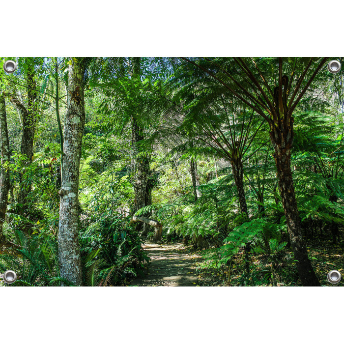 Tuinposter Botanische tuin Jungle stijl (5050.3048)