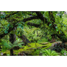 Tuinposter Botanisch landschap jungle (5050.3052)