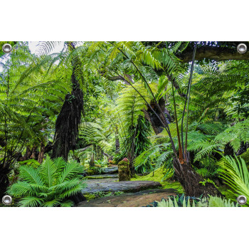 Tuinposter Botanisch landschap jungle (5050.3053)