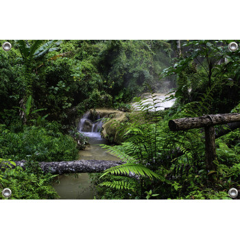 Tuinposter Botanisch landschap jungle (5050.3055)