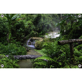 Tuinposter Botanisch landschap jungle (5050.3055)