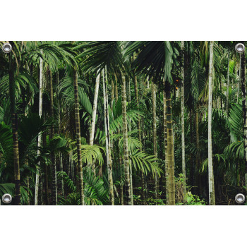 Tuinposter Bamboe en palmbomen bos Hawaï (5050.3056)