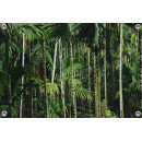 Tuinposter Bamboe en palmbomen bos Hawaï (5050.3056)