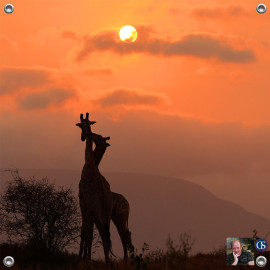 Tuinposter © Ron Entius - Afrika (6217.1028)