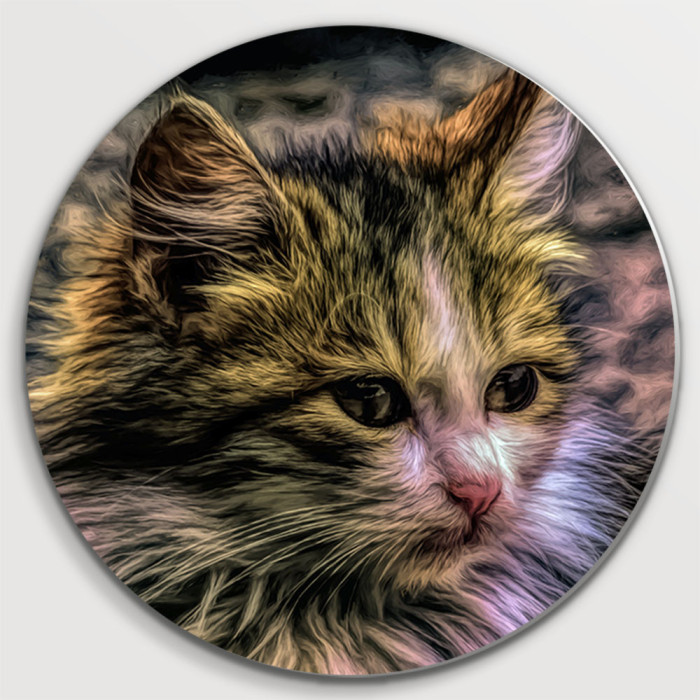Kitten (5070.1003)